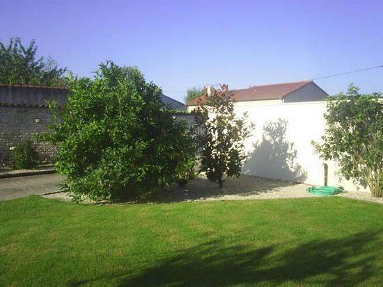 Travaux de jardinage : tonte, taille, élagage, remise en état