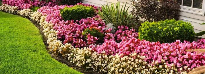 travaux de terrassement pour plantation jardin La Rochelle