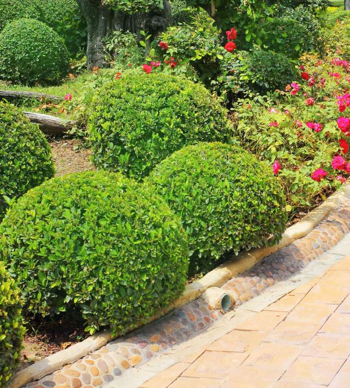 Création jardin avec système d'éclairage La Rochelle