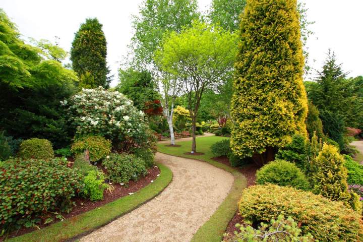 Création chemin de jardin La Rochelle